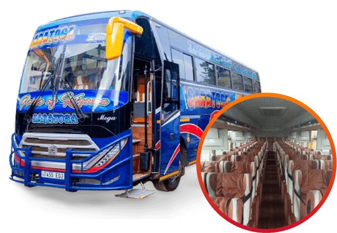 Saratoga modern bus fleet and comfortable interior